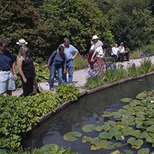 ENGLAND Surrey Woking Wisley Royal Horticultural Society Garden Visitors looking over