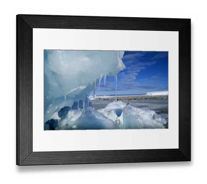 Framed Print : View through an icy pressure ridge of Emperor Penguin colony on Weddell Sea (Dawson Framed Print : View through an icy pressure ridge of Emperor Penguin colony on Weddell Sea (Dawson