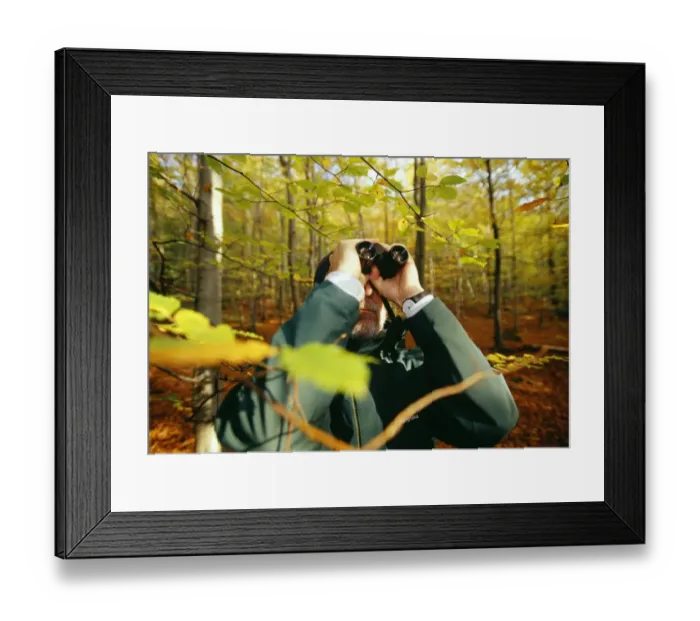 Framed Print : Birder in woodland, autumn, UK Framed Print : Birder in woodland, autumn, UK
