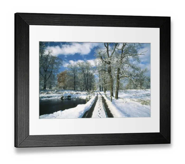 Framed Print : Parkland in winter (Knole Park, Secenoaks, Kent) Framed Print : Parkland in winter (Knole Park, Secenoaks, Kent)