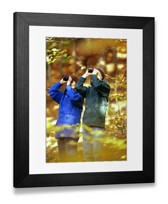 Framed Print : Birdwatching couple in woodland, autumn, UK Framed Print : Birdwatching couple in woodland, autumn, UK