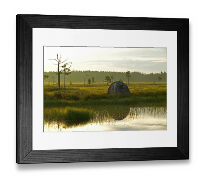 Framed Print : Photographic hide on pool in middle of bog, for photographing Red-throated Divers, Finland Framed Print : Photographic hide on pool in middle of bog, for photographing Red-throated Divers, Finland