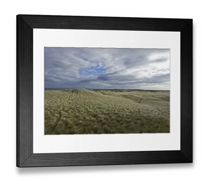 Framed Print : Marram covered sand dunes, Holy Island, Lindisfarne NNR, Northumberland, UK, autumn Framed Print : Marram covered sand dunes, Holy Island, Lindisfarne NNR, Northumberland, UK, autumn