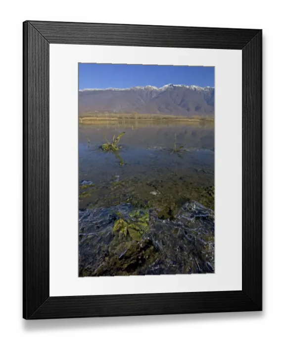 Framed Print : Lake Kerkini in winter Greece Framed Print : Lake Kerkini in winter Greece