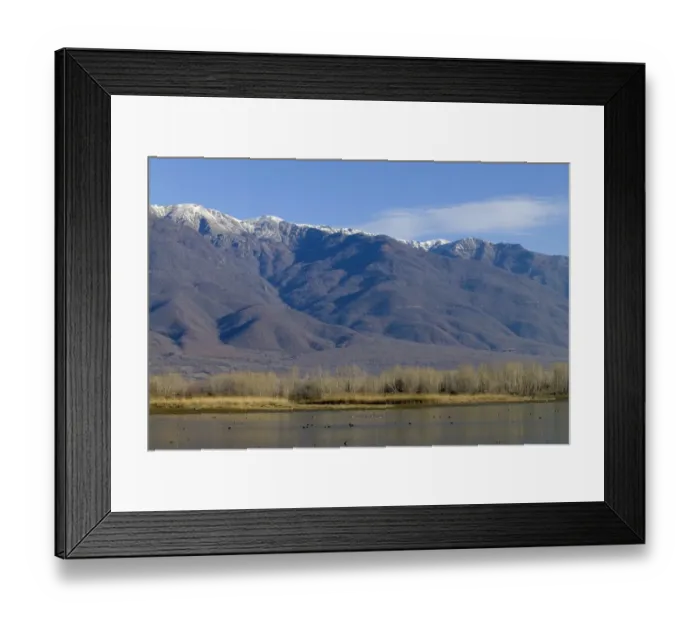 Framed Print : Lake Kerkini Greece in winter Framed Print : Lake Kerkini Greece in winter