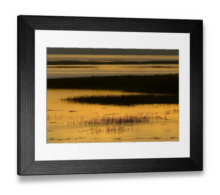Framed Print : Langstone Harbour (RSPB Reserve) Hampshire at sunset winter Framed Print : Langstone Harbour (RSPB Reserve) Hampshire at sunset winter