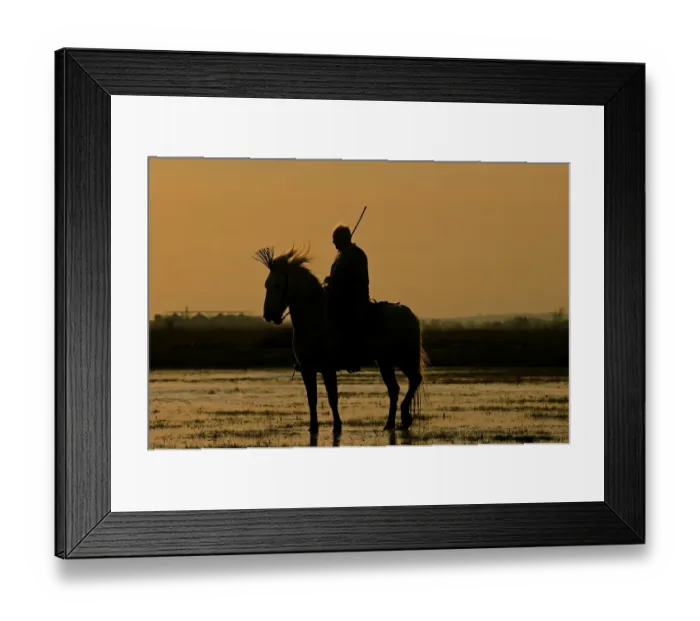 Framed Print : Marsh Guardian out on marshes of Camargue at dawn Provence France Framed Print : Marsh Guardian out on marshes of Camargue at dawn Provence France