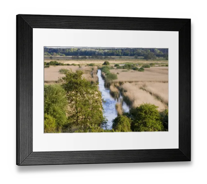 Framed Print : View from Whin Hill Minsmere May Framed Print : View from Whin Hill Minsmere May