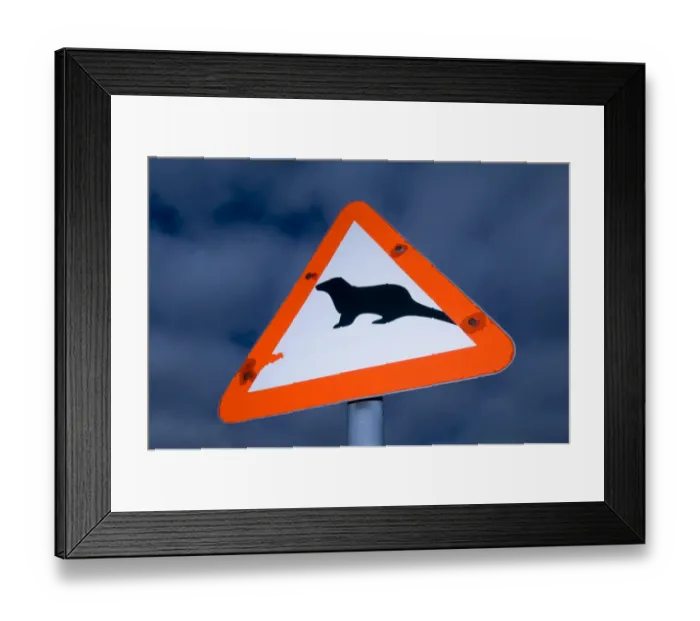 Framed Print : Otter road crossing sign Shetland Scotland Framed Print : Otter road crossing sign Shetland Scotland