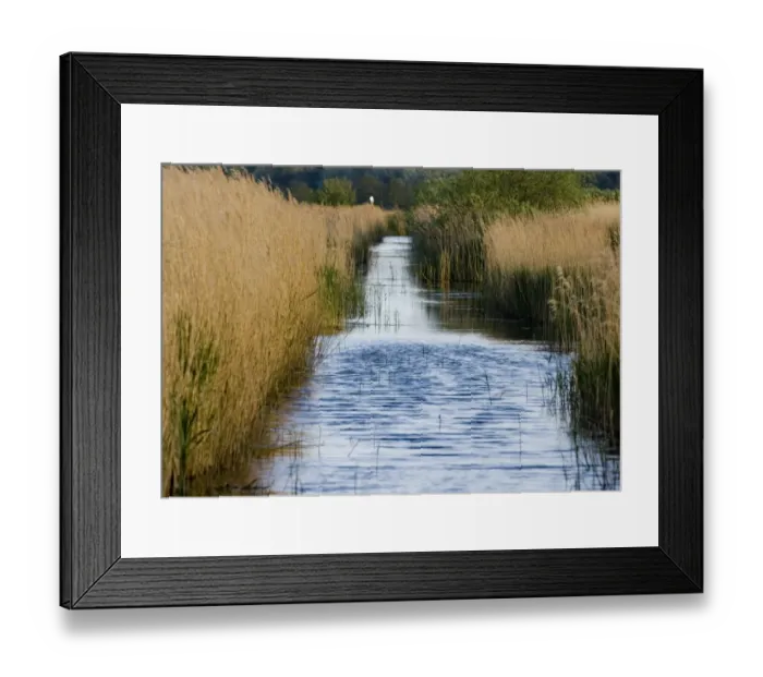 Framed Print : Minsmere Suffolk May Framed Print : Minsmere Suffolk May