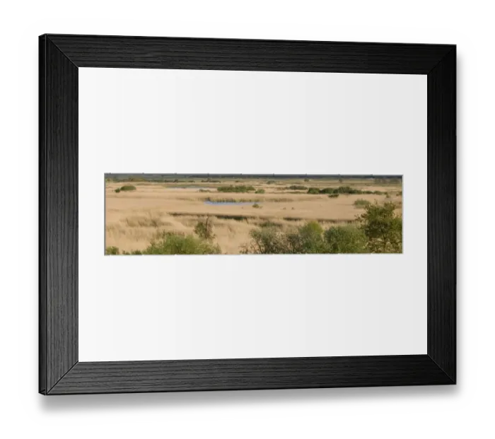 Framed Print : View from Whin Hill Minsmere May Framed Print : View from Whin Hill Minsmere May