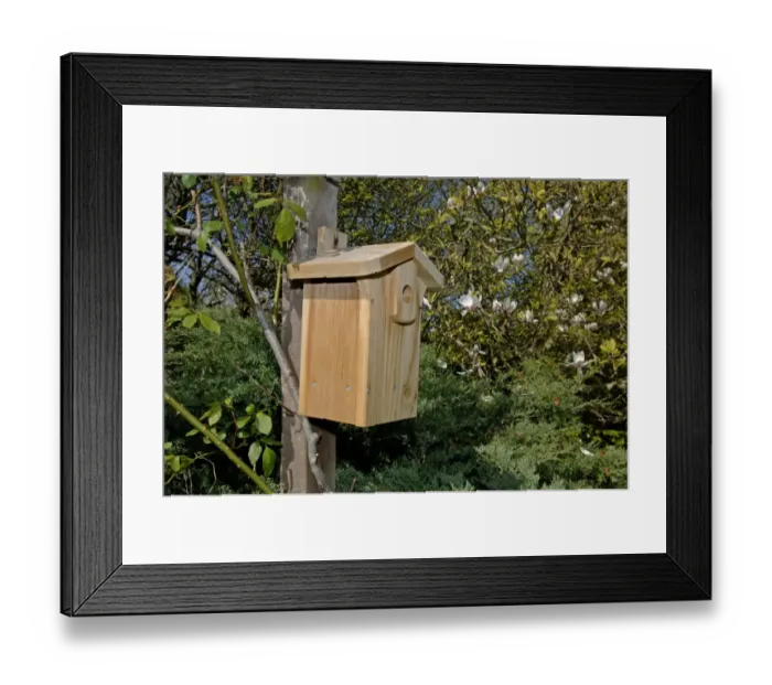 Framed Print : Nestbox for tits Framed Print : Nestbox for tits