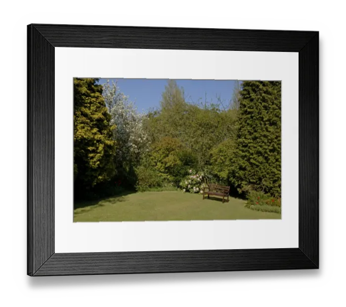 Framed Print : Urban garden in spring Kent, UK Framed Print : Urban garden in spring Kent, UK
