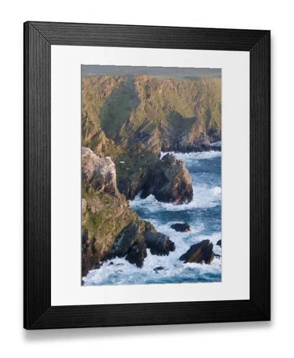 Framed Print : Cliffs and Gannet colony at Hermaness NNR Unst Shetland summer Framed Print : Cliffs and Gannet colony at Hermaness NNR Unst Shetland summer