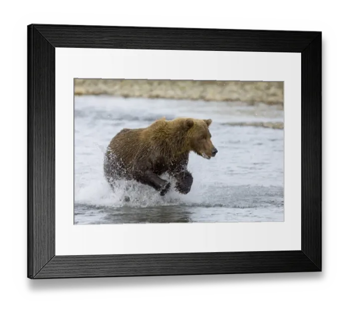 Framed Print : 01076dt. Brown Framed Print : 01076dt. Brown