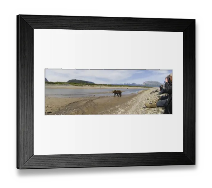Framed Print : 01051dt. Bear
