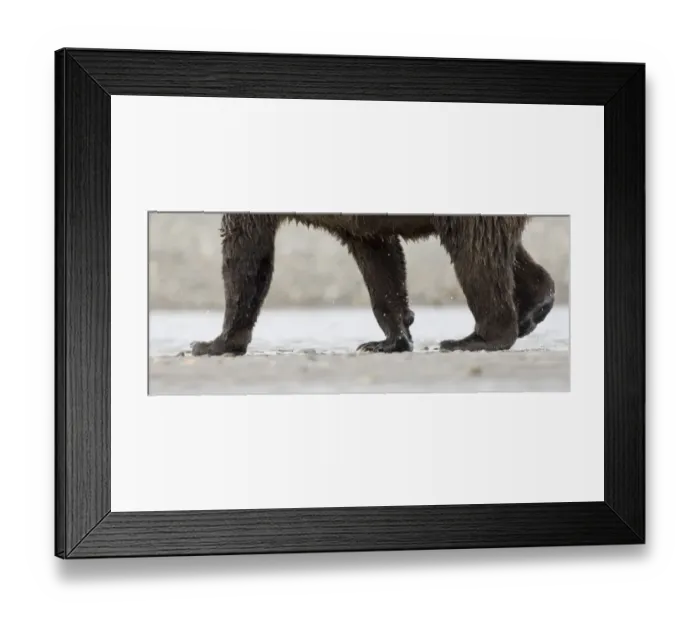 Framed Print : 01055dt. Brown Framed Print : 01055dt. Brown