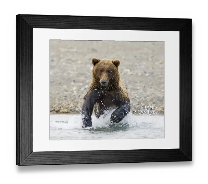 Framed Print : 01057dt. Brown Framed Print : 01057dt. Brown