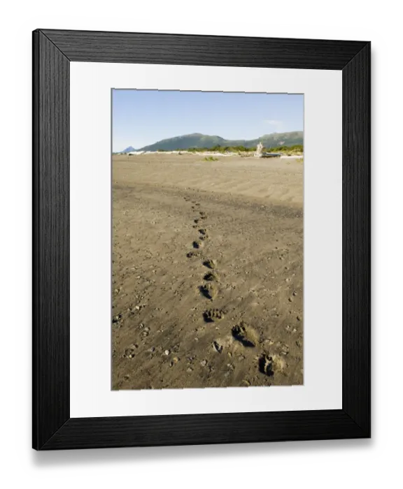 Framed Print : 01045dt. Brown