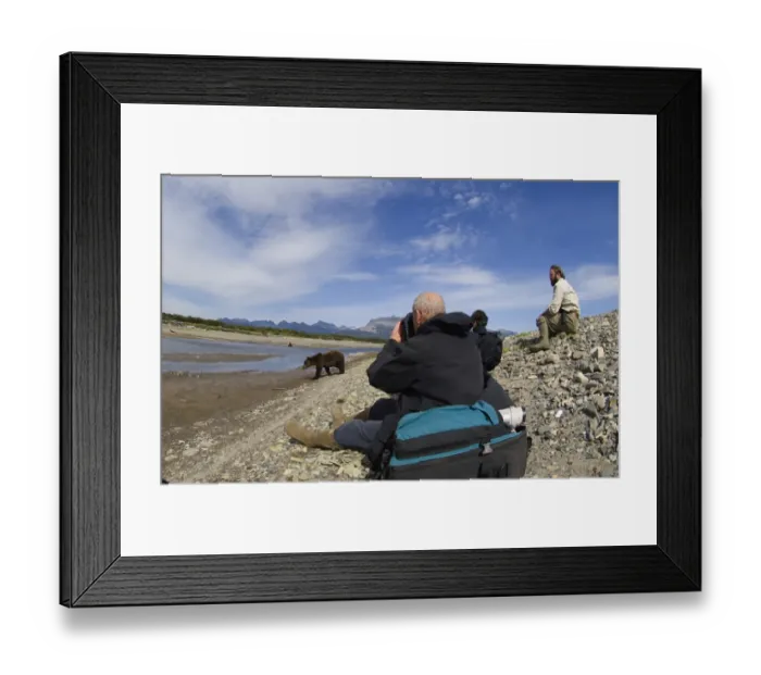 Framed Print : 01050dt. Bear
