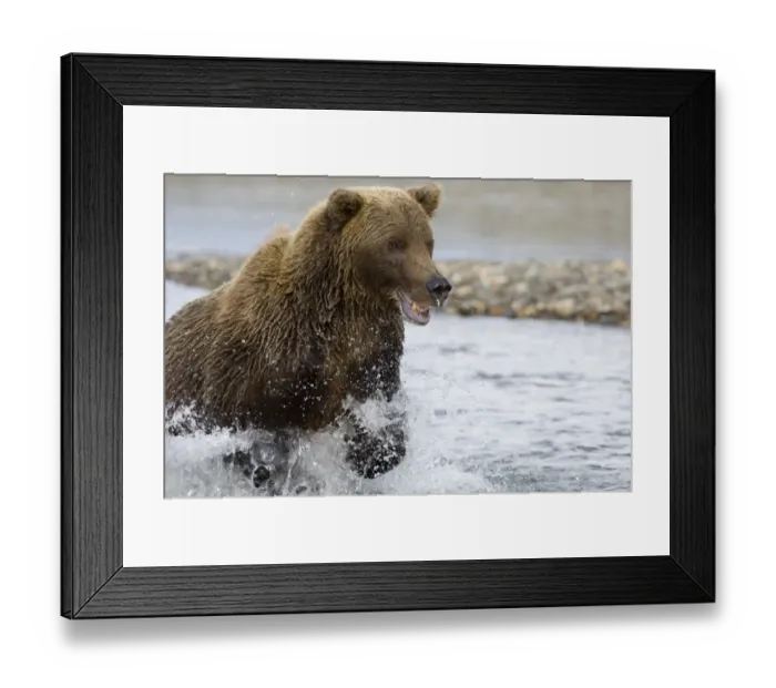 Framed Print : 01078dt. Brown Framed Print : 01078dt. Brown