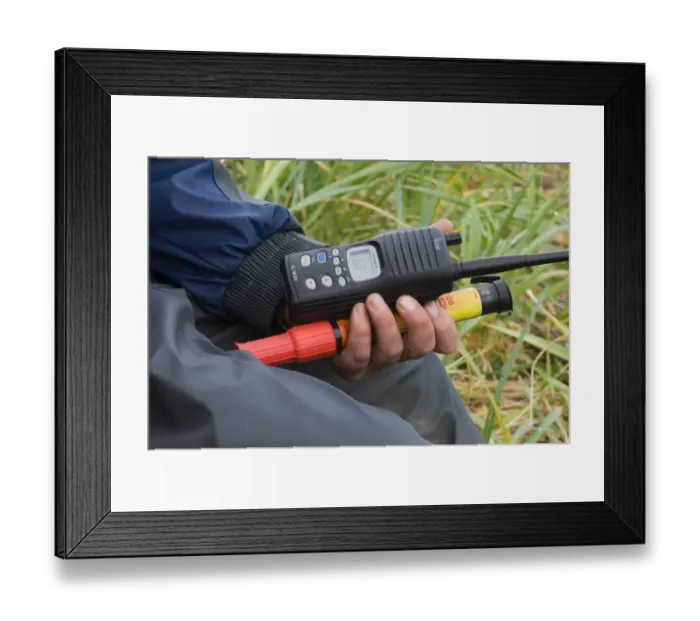 Framed Print : Grizzly Bear guide with radio and flare Katmai Alaska July Framed Print : Grizzly Bear guide with radio and flare Katmai Alaska July