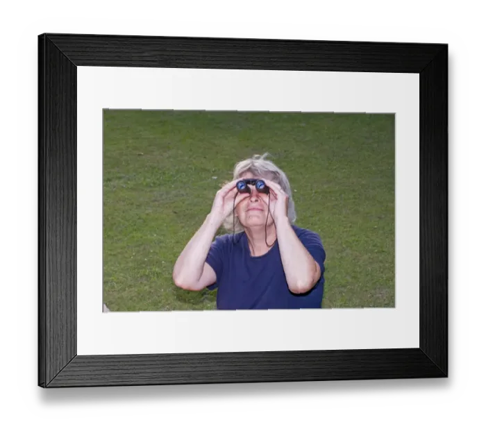 Framed Print : birdwatching in garden Kent UK summer Framed Print : birdwatching in garden Kent UK summer