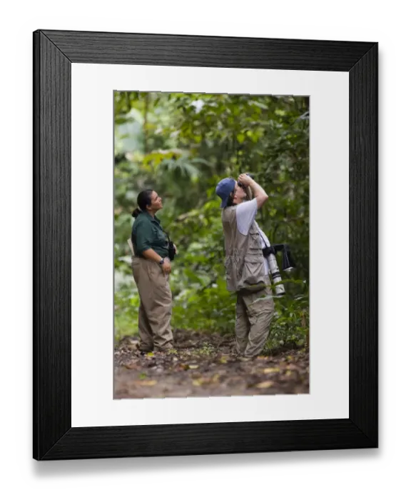Framed Print : Birding along Pipeline Road Soberiana NP Panama Framed Print : Birding along Pipeline Road Soberiana NP Panama