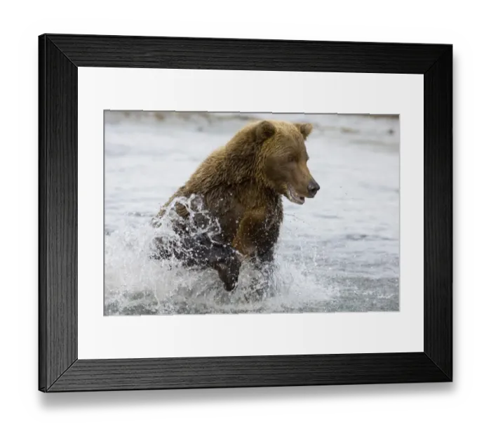 Framed Print : 01077dt. Brown Framed Print : 01077dt. Brown