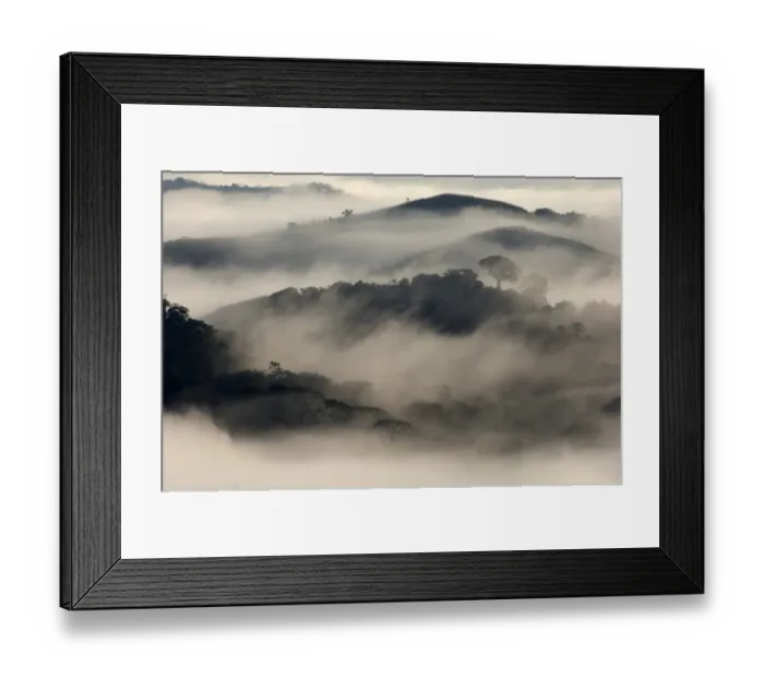 Framed Print : Mist shrouded lowland rainforest at dawn Soberiana NP Panama Framed Print : Mist shrouded lowland rainforest at dawn Soberiana NP Panama
