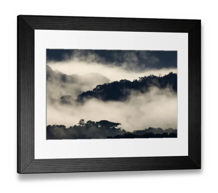 Framed Print : Mist shrouded lowland rainforest viewed from rooftop platform on the Canopy Tower Framed Print : Mist shrouded lowland rainforest viewed from rooftop platform on the Canopy Tower