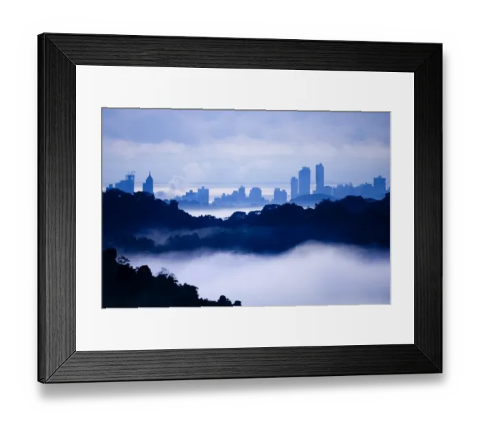 Framed Print : Panama City viewed at dawn across the rainforest of Soberania NP Panama Framed Print : Panama City viewed at dawn across the rainforest of Soberania NP Panama