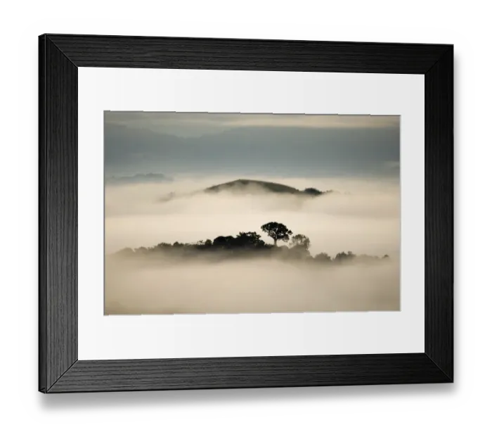 Framed Print : View from Canopy Tower Lodge across lowland rainforest of Soberania NP Framed Print : View from Canopy Tower Lodge across lowland rainforest of Soberania NP