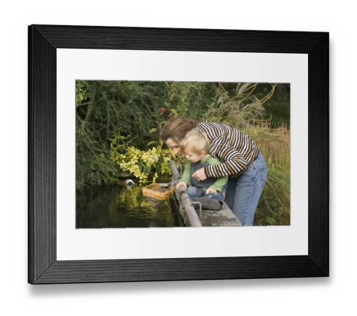 Framed Print : Pond dipping with toddler autumn