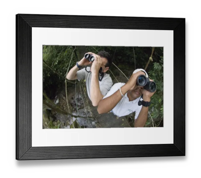 Framed Print : Birding in foothill rainforest El Valle Panama Framed Print : Birding in foothill rainforest El Valle Panama