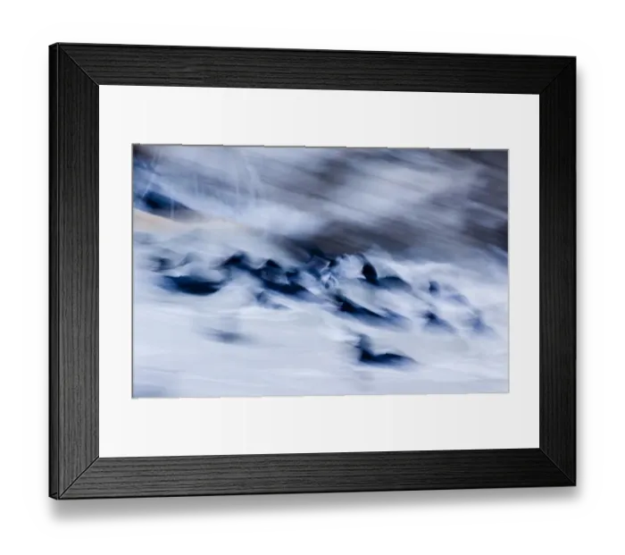 Framed Print : Coots in rough seas (Fulica atra) winter Framed Print : Coots in rough seas (Fulica atra) winter