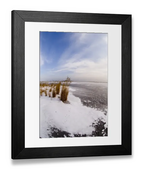 Framed Print : Fox footprints on frozen Durankulak Lake (RAMSAR site) Bulgaria winter Framed Print : Fox footprints on frozen Durankulak Lake (RAMSAR site) Bulgaria winter