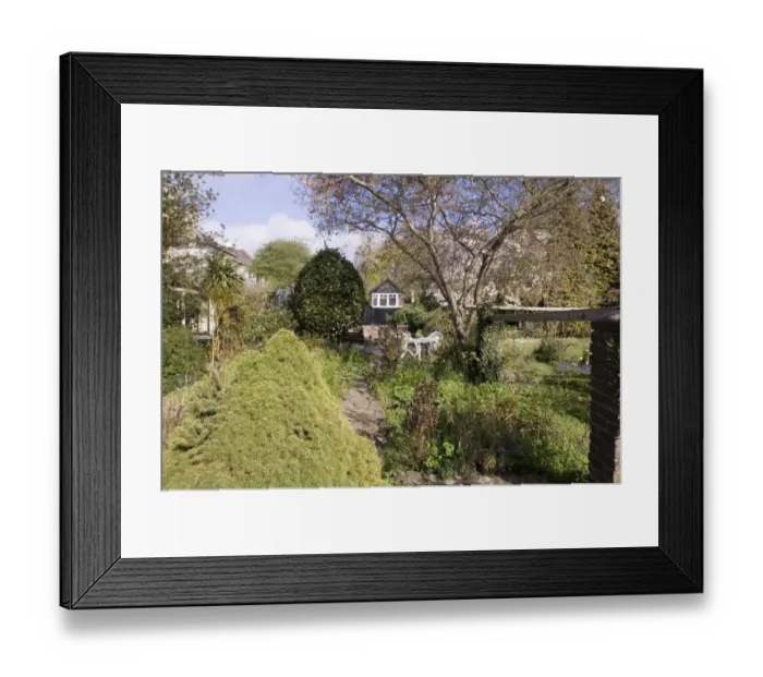 Framed Print : Suburban garden in spring Kent Framed Print : Suburban garden in spring Kent
