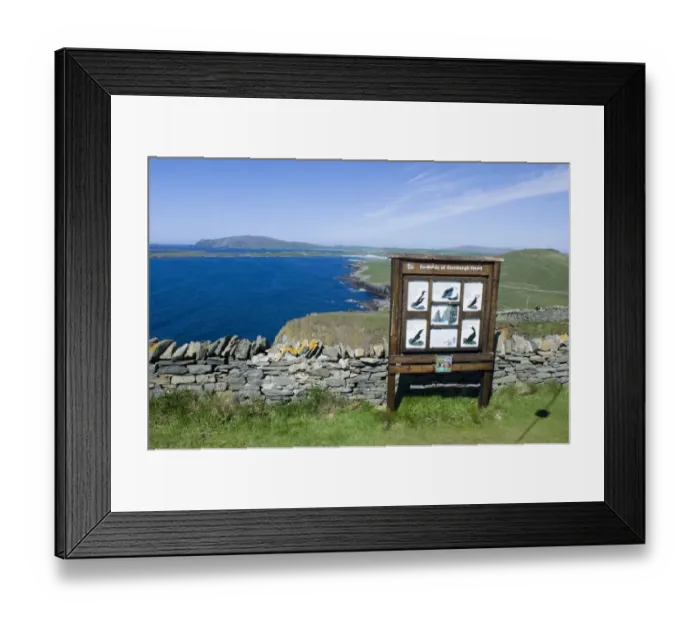 Framed Print : Sumburgh Head RSPB Reserve Shetland summer Framed Print : Sumburgh Head RSPB Reserve Shetland summer