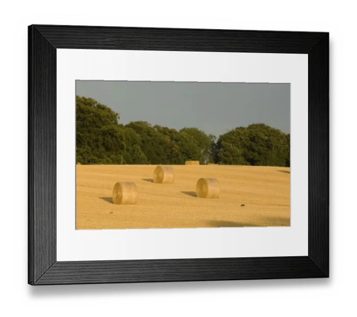 Framed Print : Hay bales at harvest time North Norfolk summer Framed Print : Hay bales at harvest time North Norfolk summer