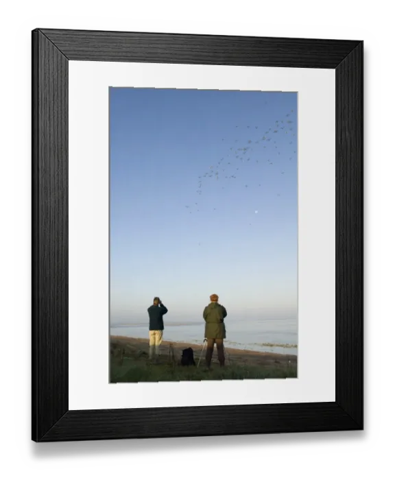 Framed Print : Bird watchers watching Knot and other waders stream off The Wash ats the tide rises Framed Print : Bird watchers watching Knot and other waders stream off The Wash ats the tide rises