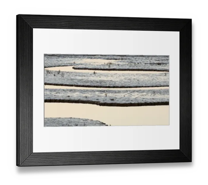 Framed Print : Creek running through saltmarsh and tidal mudflats of The Wash viewed on a full moon Framed Print : Creek running through saltmarsh and tidal mudflats of The Wash viewed on a full moon