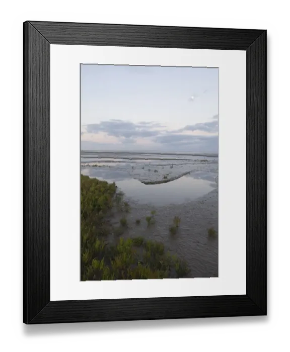 Framed Print : Saltmarsh and tidal mudflats of The Wash viewed on a full moon just prior to sunrise Framed Print : Saltmarsh and tidal mudflats of The Wash viewed on a full moon just prior to sunrise