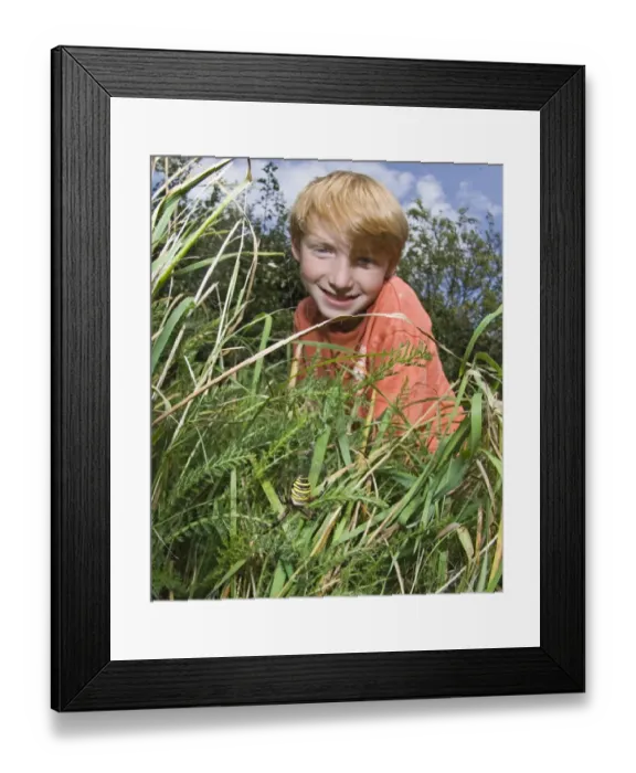 Framed Print : Young boy looking at a Wasp Spider in back garden UK summer
