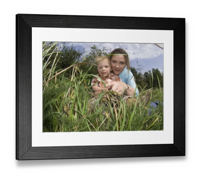 Framed Print : mother and 2yr old son looking at Wasp Spider in garden Kent UK summer Framed Print : mother and 2yr old son looking at Wasp Spider in garden Kent UK summer
