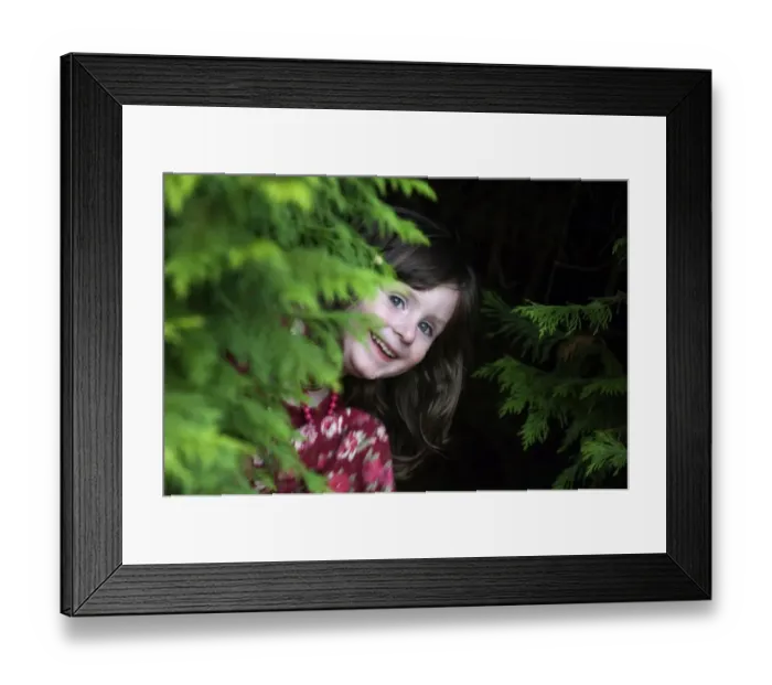 Framed Print : 3yr old girl peeping around bush in garden Kent UK summer Framed Print : 3yr old girl peeping around bush in garden Kent UK summer