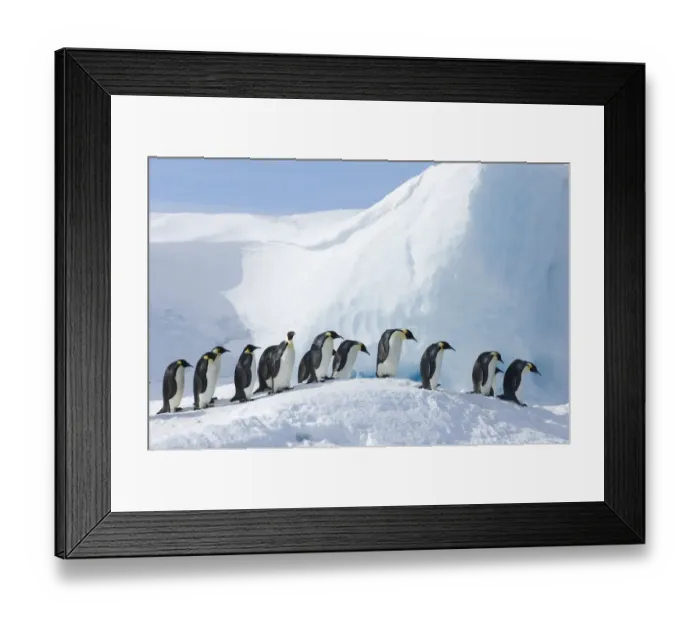 Framed Print : 01951dt(1)