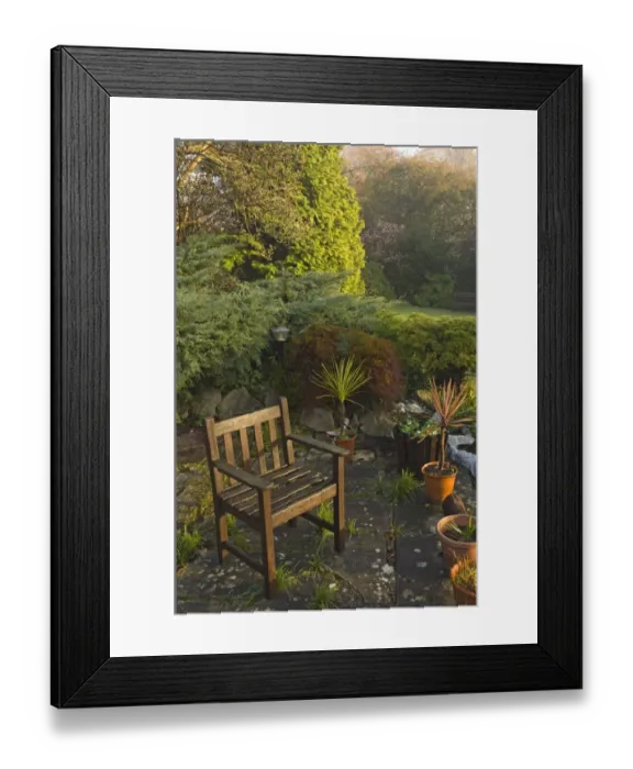 Framed Print : 02012dt. suburban garden in autumn Kent UK Framed Print : 02012dt. suburban garden in autumn Kent UK