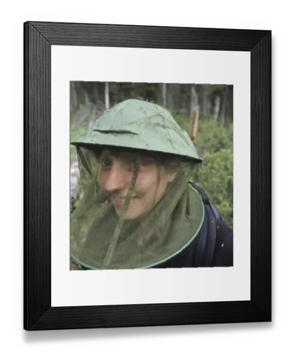 Framed Print : Mosquitos on girls mosquito hat in Finnish forest north of Kuusamo Finnish Lapland Framed Print : Mosquitos on girls mosquito hat in Finnish forest north of Kuusamo Finnish Lapland