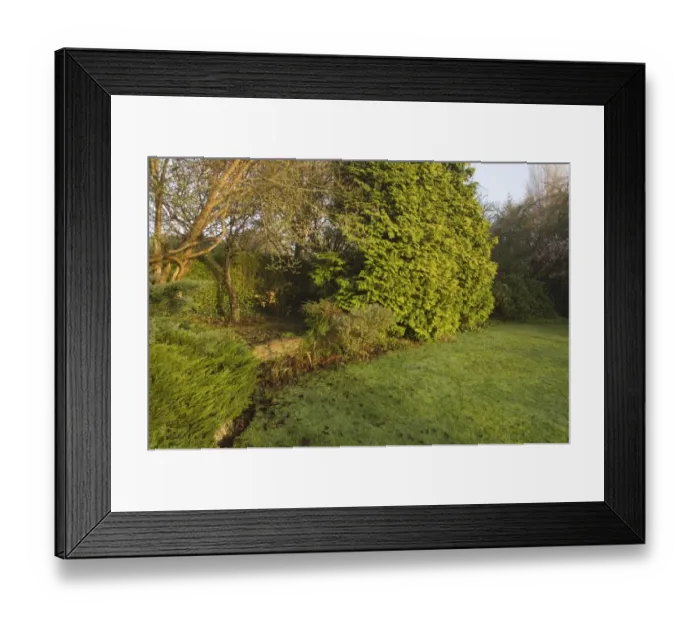 Framed Print : 02013dt. suburban garden in autumn Kent UK